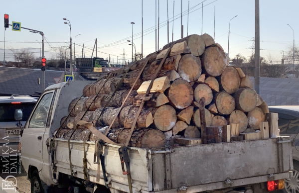 «Это заговор»: Продажа дров в столице Бурятии обрастает странностями 