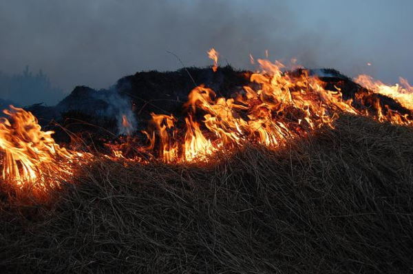 В Улан-Удэ горела трава возле кладбища