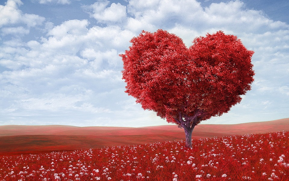 В Иркутской области сквер Любви получит «Бесконечную любовь» и «Дерево Любви»