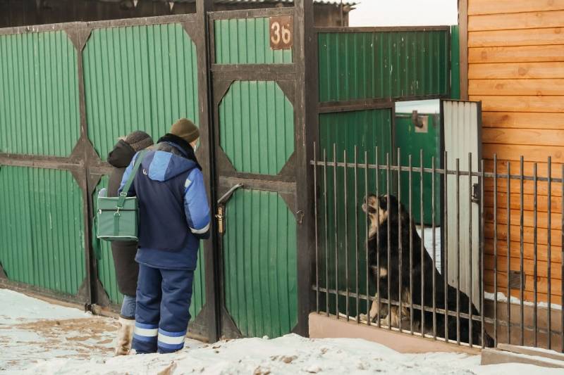 В Улан-Удэ пройдёт большой рейд по отлову собак 
