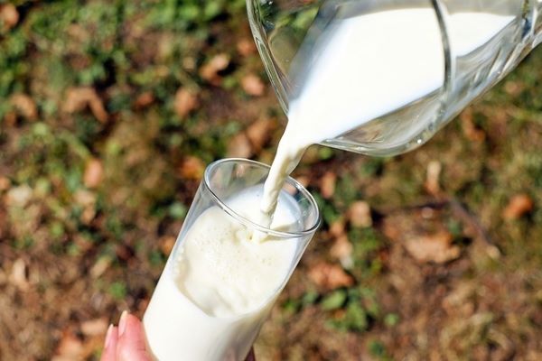 За 9 месяцев в Бурятии из оборота изъяли 110 кг молочной продукции