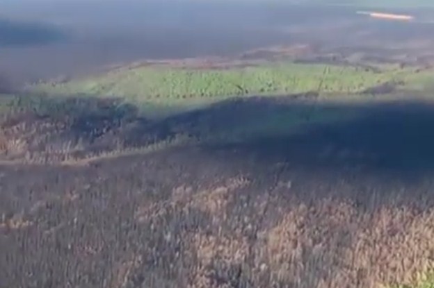 В Иркутской области показали сгоревший лес с воздуха 