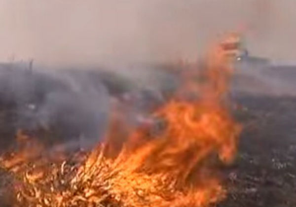 В пригороде Улан-Удэ огонь перекинулся с сухой травы на десятки жилых домов 