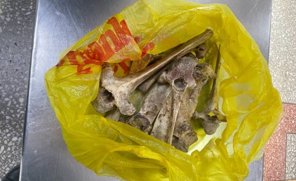 Иностранец пытался завезти в Бурятию полтора килограмма костей