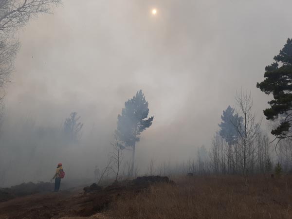 Лесные пожары накрыли дымом Читу