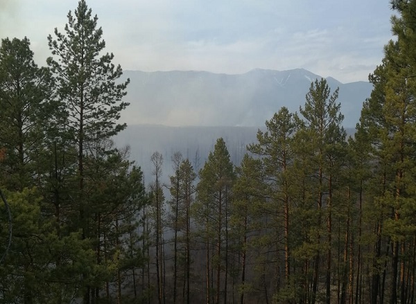 Лесные пожары в Бурятии тушили 107 человек
