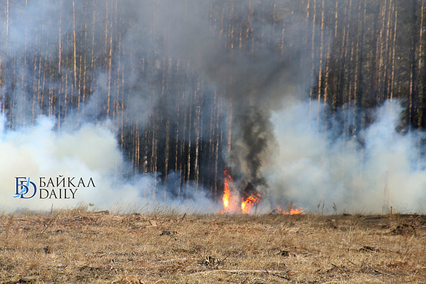 Восемь лесных пожаров возникло за сутки в Бурятии 