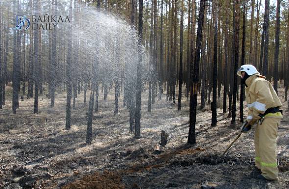 В Бурятии виновник лесного пожара заплатит почти 300 тысяч 