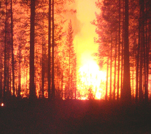«Огонь сомкнулся за спиной»: опытный лесник рассказал о страшном пожаре в Бурятии 