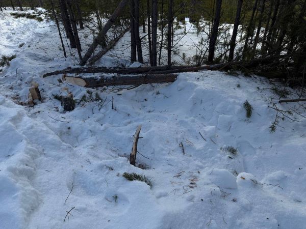 В Улан-Удэ на тропе здоровья повредили деревья и оторвали указатели