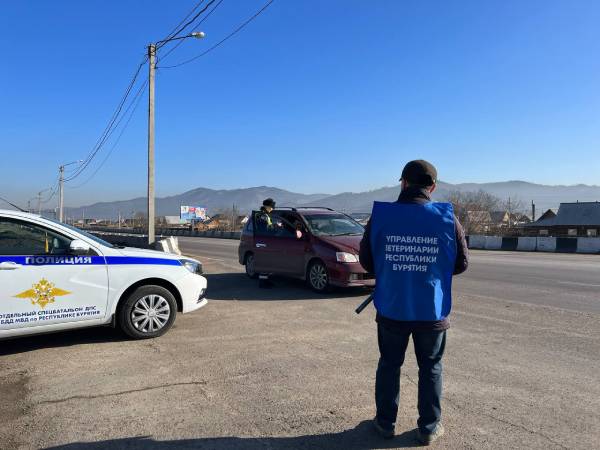 На трассе в пригороде Улан-Удэ начали дежурить сотрудники ДПС и ветеринары 