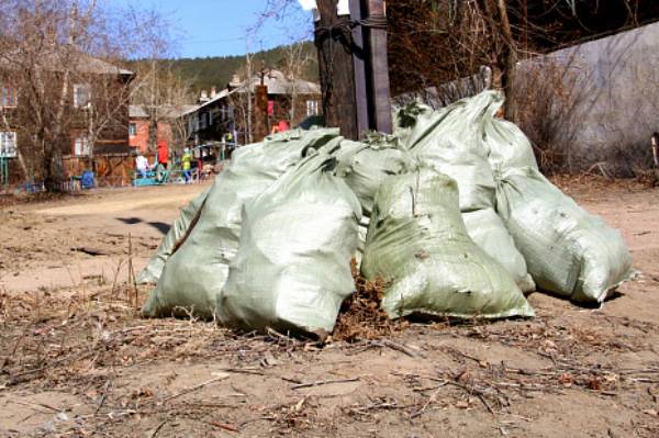 180 мешков мусора, листьев собрали на бульваре «Сиреневом» в Улан-Удэ