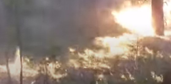 В Забайкалье дети устроили крупный пожар, играя с зажигалкой 