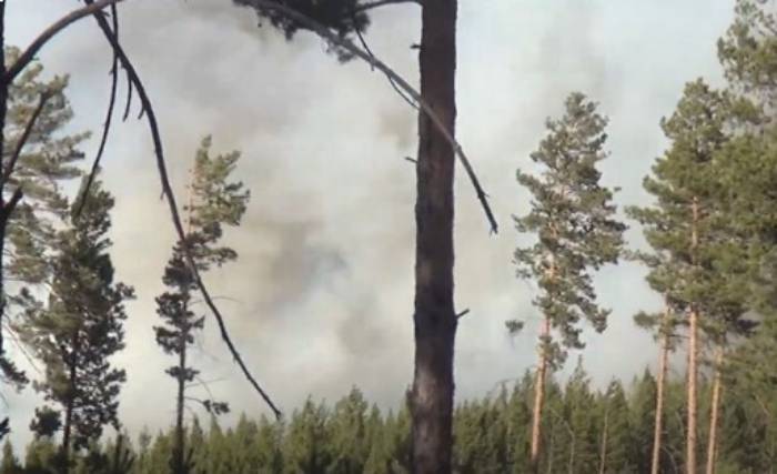 Глава Бурятии утвердил план тушения лесных пожаров 