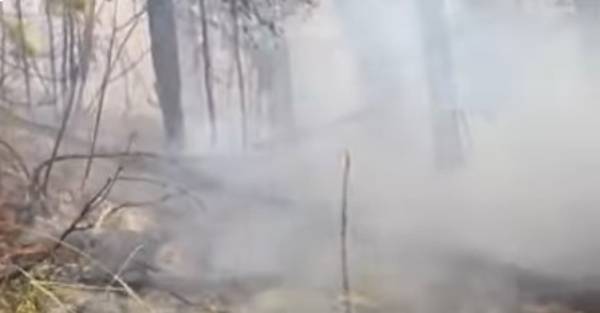 В Бурятии на утро 11 апреля нет лесных пожаров 