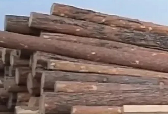 В Бурятии нашли пожароопасный пункт приёма древесины