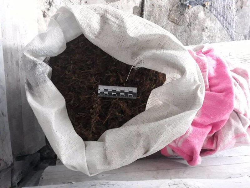 В Иркутской области сбытчики марихуаны получили 30 лет на четверых 