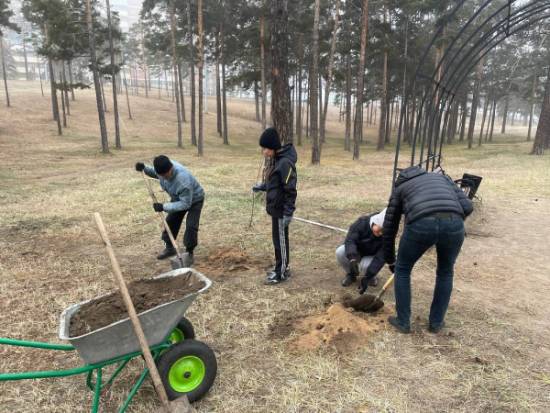 В улан-удэнском парке «Юбилейный» высадили более 50 саженцев