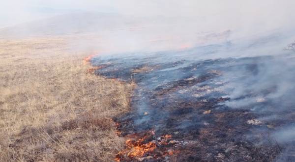 В Бурятии потушили крупное возгорание сухой травы 