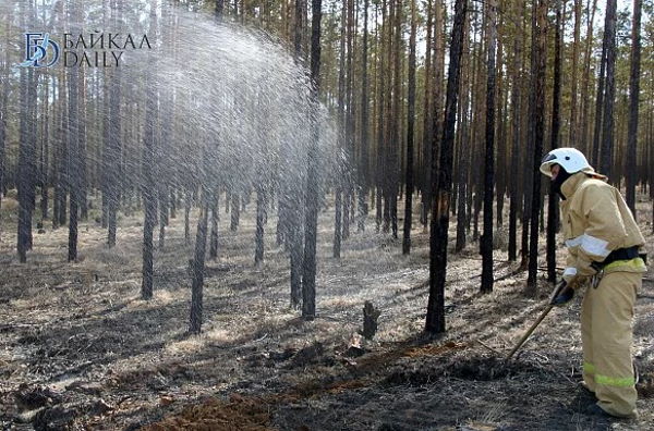 В Бурятии устанавливают причину лесного пожара