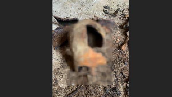 В Улан-Удэ строители выкопали останки шестерых человек 