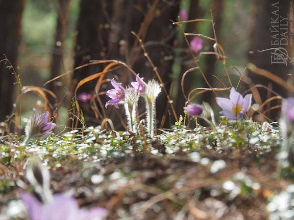 Путешествие в 2025-й