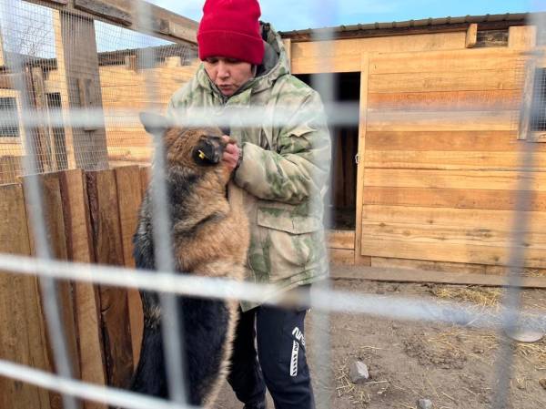 В собачьем приюте в Улан-Удэ оказались породистые животные