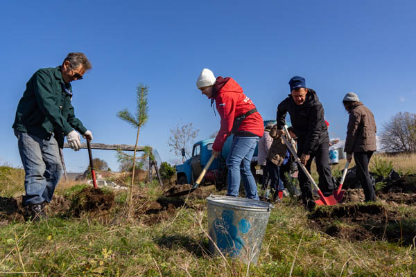 На Байкале волонтёры высадили около 50 деревьев