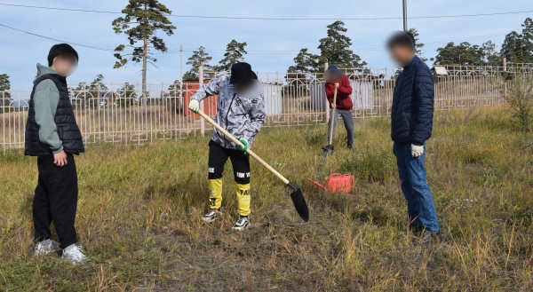 Возле школы в Улан-Удэ высадили 100 сеянцев сосны и лиственницы