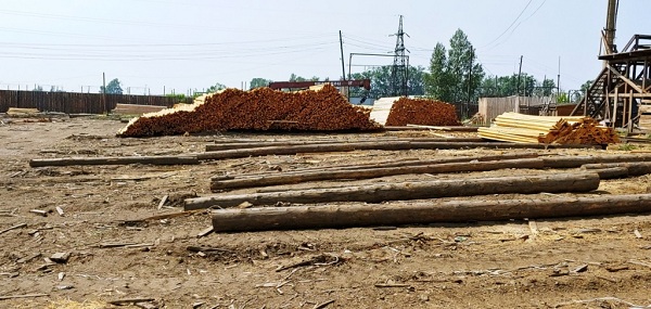 В Улан-Удэ лесопредприятия захламили площадки
