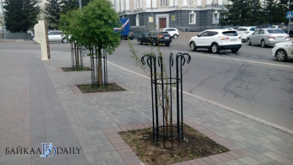 Мэрия Улан-Удэ оперативно заменила засохшее дерево на площади Советов