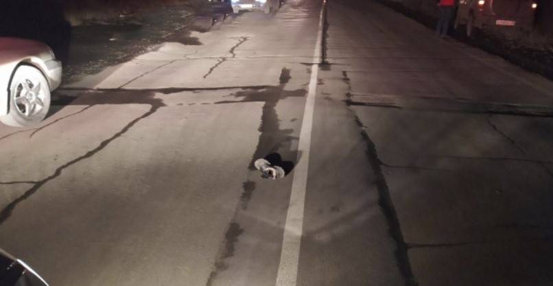 В Иркутской области погиб шедший по дороге пешеход