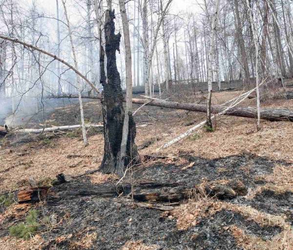 В нацпарке в Бурятии потушили три лесных пожара