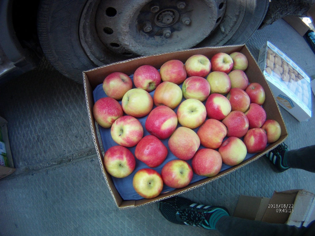 Из Бурятии не дали вывезти 590 кг фруктов