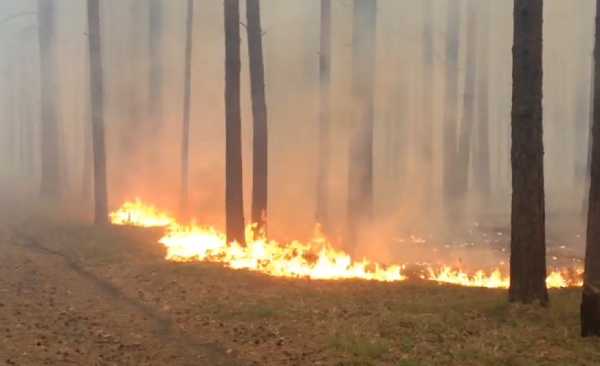 На севере Бурятии потушили лесной пожар