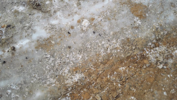 IMG_20161112_143925.jpg IMG_20161112_143925.jpg