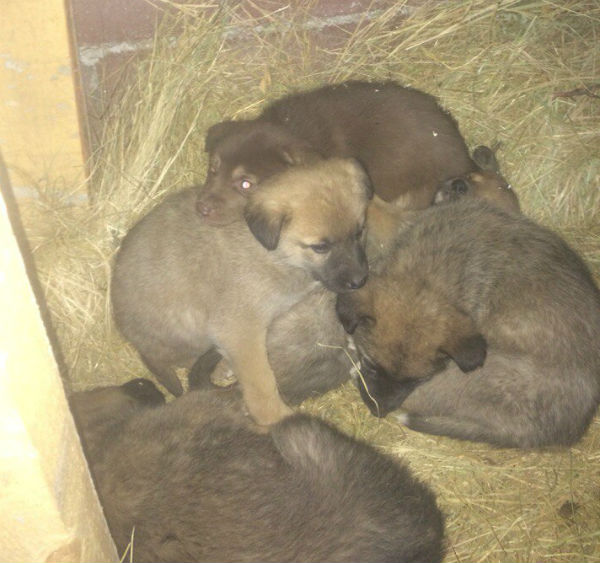 NItGx3Agzbw.jpg NItGx3Agzbw.jpg