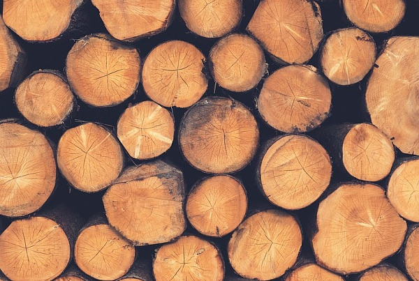 В Бурятии выросли цена на дрова 