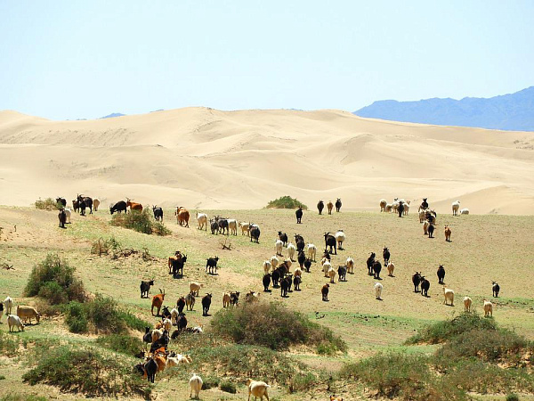 В Монголии рассказали о температурных рекордах июня