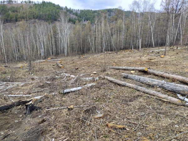 Фото Забайкальский Район