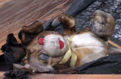 � ����-��� �� ������ ����� ���������� ������