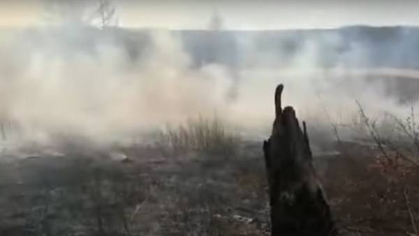 В Бурятии сократят зону контроля лесных пожаров 