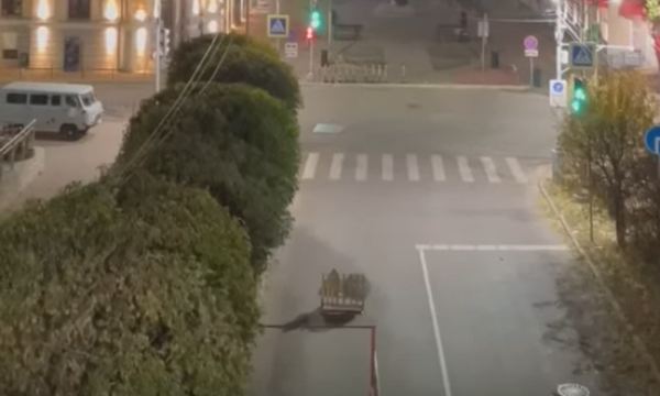 В центре Улан-Удэ «причесали» зелёные шары