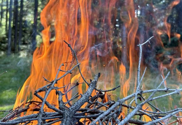 � ������� ����������� ������������� ���� 265 ���������������