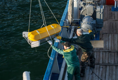 ������ ������������ ��� ������� ���������� ��������� 