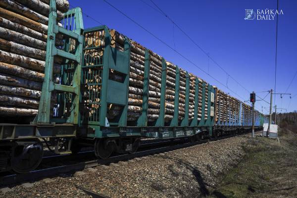 Из Бурятии с начала года вывезли 1,3 млн кубометров древесины