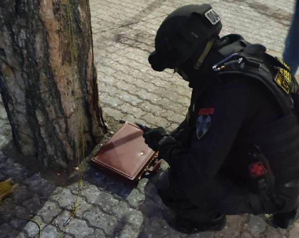 В Улан-Удэ взрывотехники выезжали в парк «Юбилейный» 