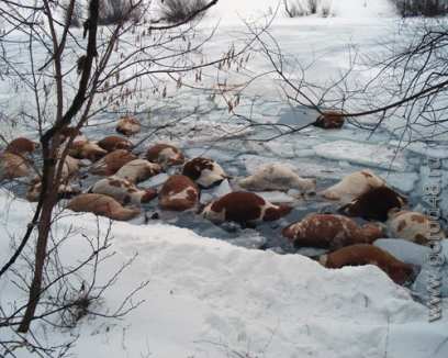 ����� ��������� ����� � ������� ������ ������� �� ����������