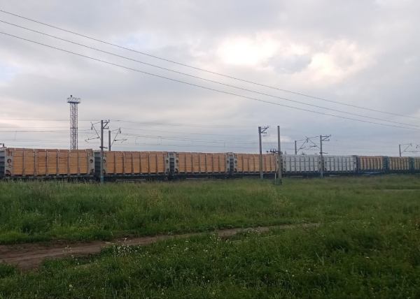 В Иркутске возбудили уголовные дела о контрабанде леса на 400 млн рублей