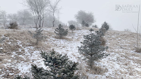 иволгинский дацан бурятия лама. бурятский колорит. улан-удэ буддийский храм. буддистский храм в улан удэ. ламрим дацан улан-удэ бабушкина.